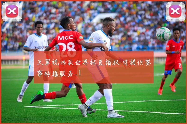 天翼视讯获世界杯直播权 将提供赛事转播服务_1